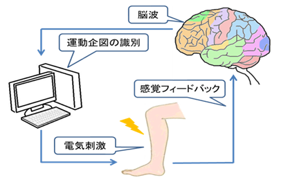 EEG-FESリハビリテーションシステム