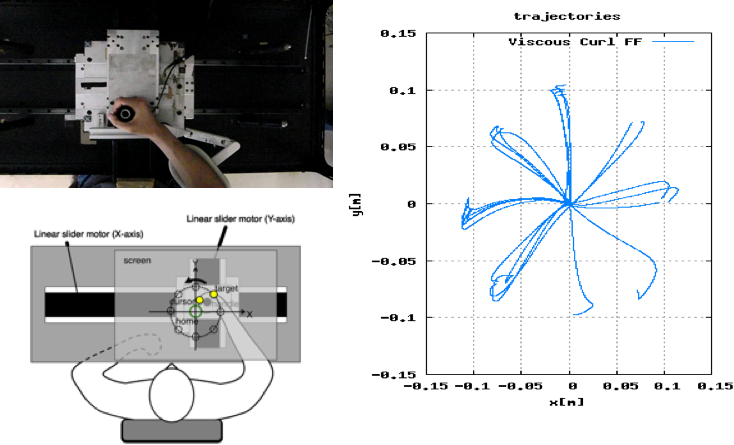 Motor Learning