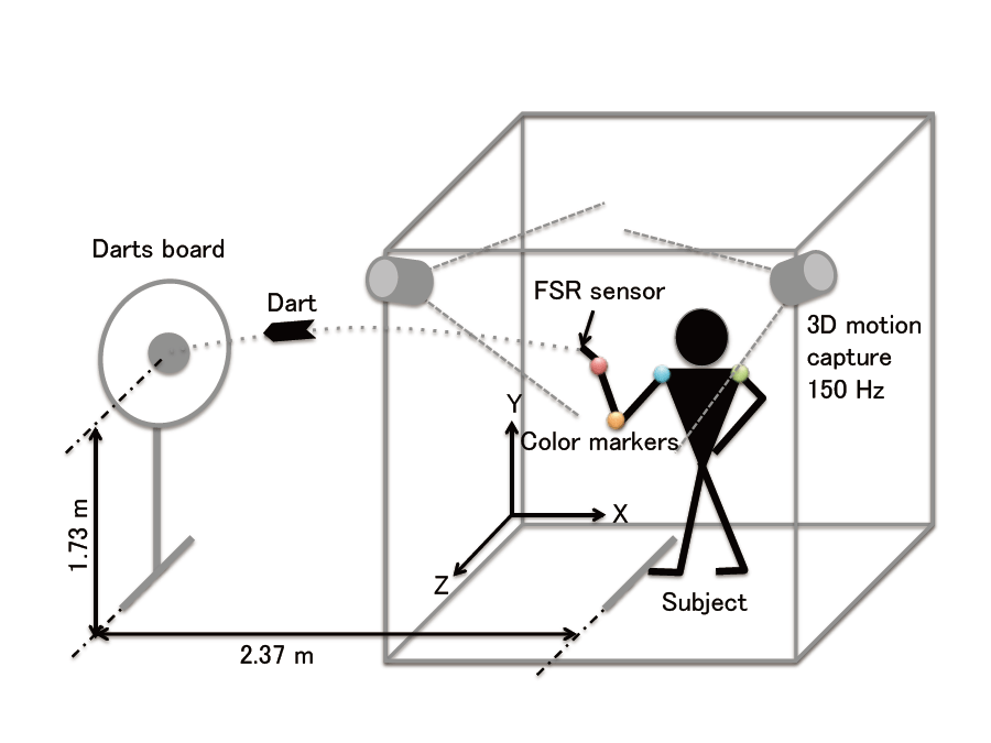 Training System for Darts Throwing