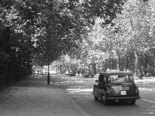St.James Park, UK