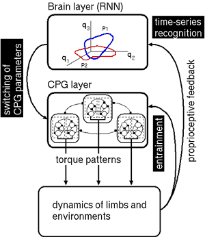 CPG-PM model